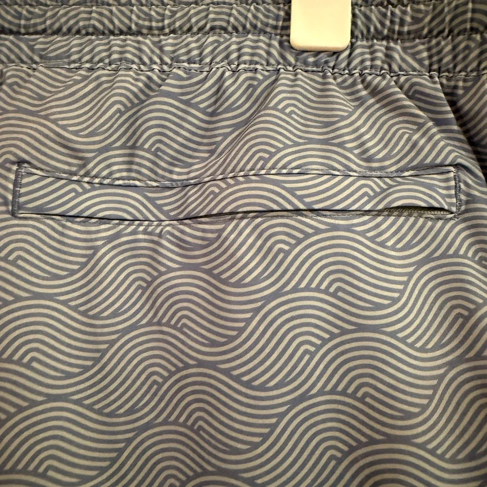 Quince swim trunks